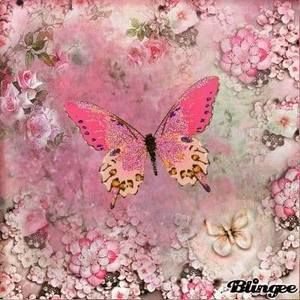 Meet your Posher, Jeannette